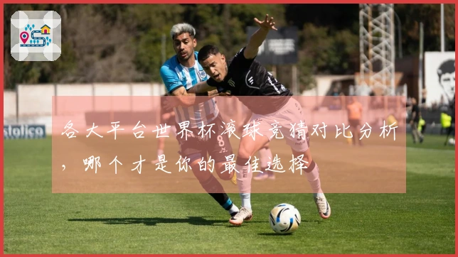 各大平台世界杯滚球竞猜对比分析，哪个才是你的最佳选择