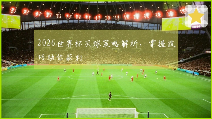 2026世界杯买球策略解析，掌握技巧助你获利