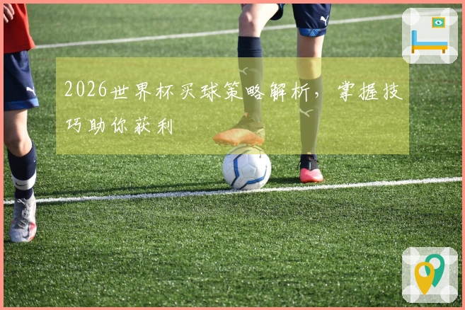 2026世界杯买球策略解析，掌握技巧助你获利