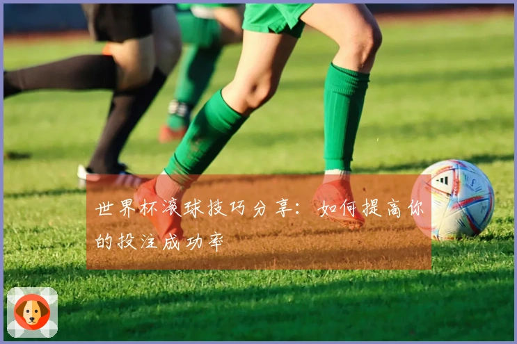 世界杯滚球技巧分享：如何提高你的投注成功率
