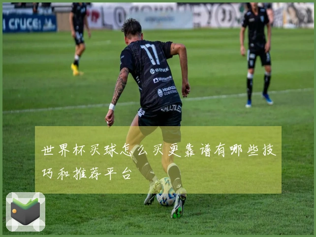世界杯买球怎么买更靠谱有哪些技巧和推荐平台
