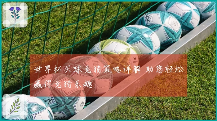 世界杯买球竞猜策略详解 助您轻松赢得竞猜乐趣