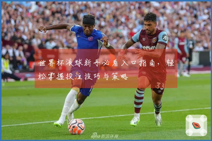 世界杯滚球新手必看入口指南，轻松掌握投注技巧与策略