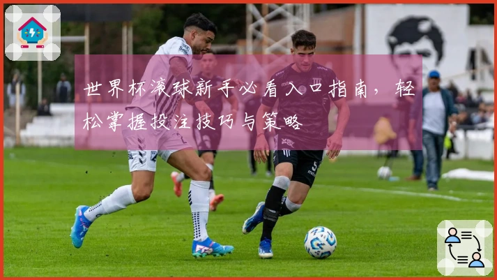 世界杯滚球新手必看入口指南，轻松掌握投注技巧与策略