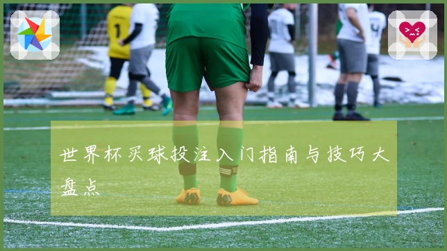 世界杯买球投注入门指南与技巧大盘点