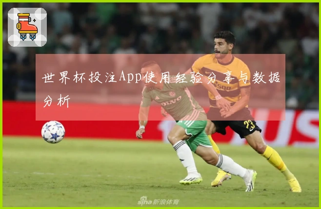 世界杯投注App使用经验分享与数据分析
