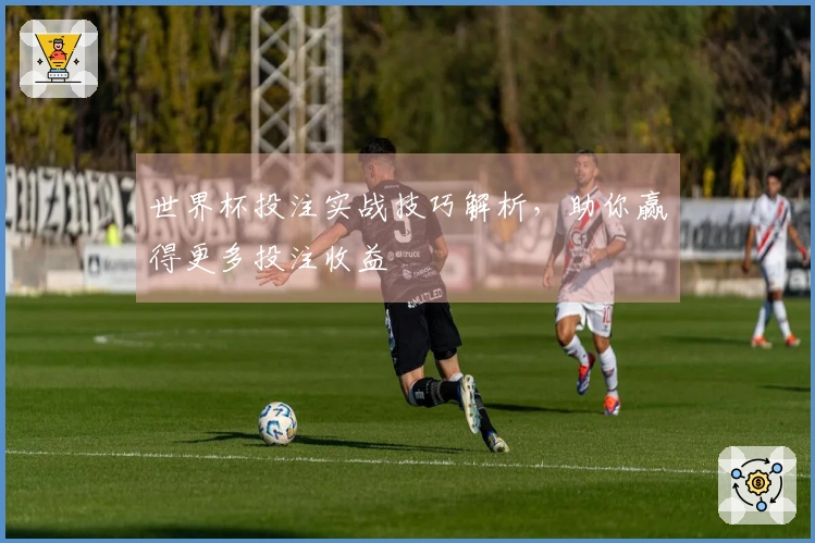 世界杯投注实战技巧解析，助你赢得更多投注收益