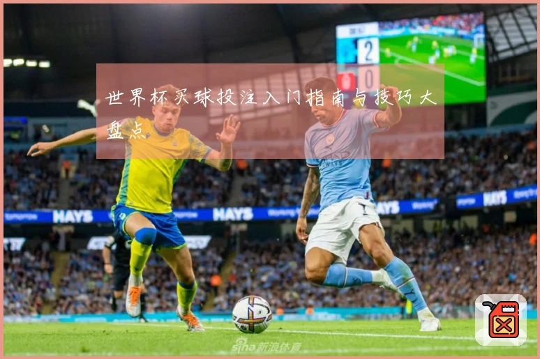 世界杯买球投注入门指南与技巧大盘点